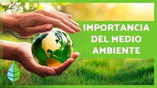 La IMPORTANCIA de CUIDAR el MEDIO AMBIENTE 