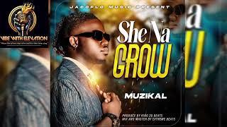 Muzikal - She Na Grow (Official Audio) New Liberia Song 2025