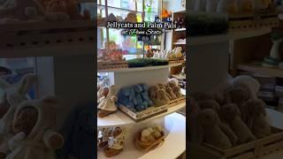 JELLYCATS AND PALM PALS ARE AT PENN STATE!  #jellycat #jellycats #palmpal #palmpals #plushies