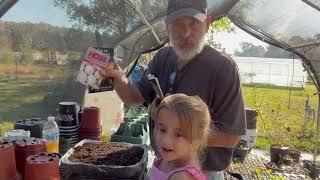 Planting Onions From Seeds