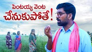 పెంటయ్య వెంట చెనుకుపోతే | PENTAIAH ORIGINALS | BITHIRISATHI LATEST | #bithirisathi