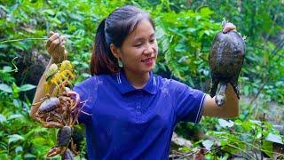 Ella Harvesting Softshell Turtle Go to the market to sell