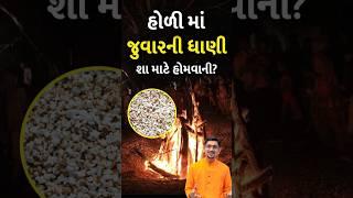 હોળી માં જુવારની ધાણી શા માટે હોમવામાં આવે છે |