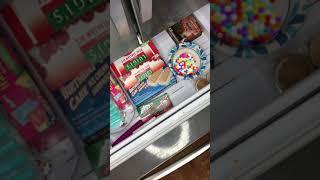 What Happens To Orbeez In The Freezer!?