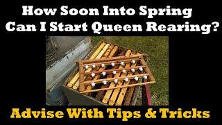 How Soon Into Spring Can I Start Queen Rearing? Advice With Tips & Tricks