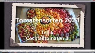 Tomatensorten 2024 Teil 6 - Cocktailtomaten II