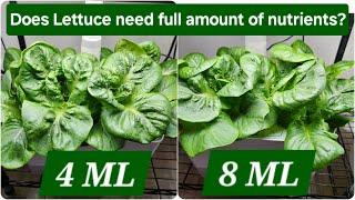 Optimize nutrients feeding for Lettuce, 8ml vs 4ml, Aerogarden Hydroponics Growing