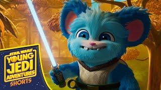 Star Wars: Young Jedi Adventures | Nubs & the Flower Fiasco | Short 4@disneyjr  x @StarWarsKids​