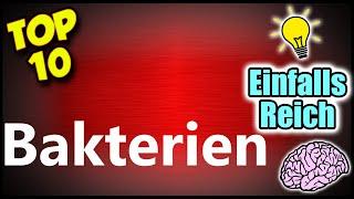 Top 10 Fakten über Bakterien