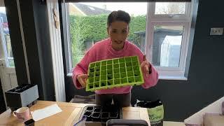 Valentine Seed Collection Grow Along