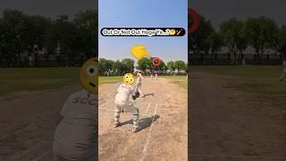 UmpireCheater#cricketshorts#cricket#shorts#viral#ipl#shortsfeed#legspin#offspin#out#ecl#spin