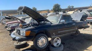 Mercedes-Benz Junkyard Honey Hole! W111, 2 R107’s, C140 CL600, W116, W123, W126