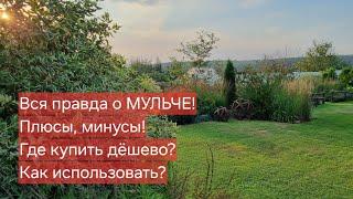 Вся правда о МУЛЬЧЕ! Плюсы, минусы! Как правильно использовать! Где купить дёшево!