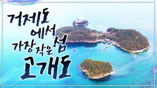 단 2가구! 3명만 살고 있는 아주 작은 섬. 힐링이 뭐 별게 있겠습니까? 내고향 섬에서 조개 잡아다가 끓여먹고 맛있는 거 먹으면 되죠~ #거제도 #고개도 #조개 #유인도