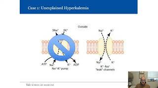 Avoiding Common Pitfalls in Laboratory Testing for Providers and Laboratorians