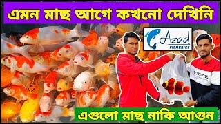 Aquarium Price In BangladeshAquarium Fish Price In BangladeshAquarium Fish Price In Azad Fisheries