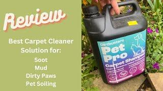 Tested Deep Clean Solution for Carpets: Quickly Removed Soot, Muddy Paw & Boot Marks & Pet Stains