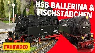 Harzer Schmalspurbahn: Die Ballerina 996001 und der HSB Triebwagen Fischstäbchen-Modelleisenbahn #98