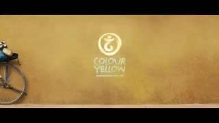 Motion Logo - Colour Yellow Productions