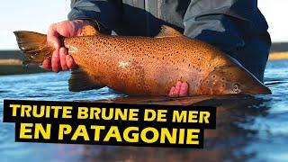 Patagonie avec Solid Adventures Partie 2 | Roadfish - Saison 8 Épisode 2