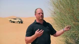 Dubai Desert Conservation - How Bedouins Made Fire | Platinum Heritage 2016