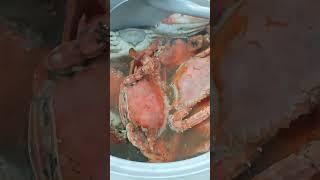 Crab Sinigang #shorts #like #support #video #35