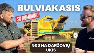 Bulviakasis su kombainu 500 ha daržovių ūkyje, Šakių rajone || AGRO REIDAS