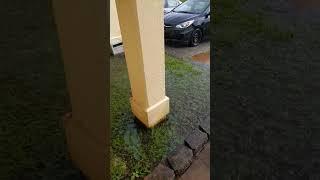 Anyone up for swimming in our front yard  #militaryfamily #vlog #guam #rain #flood