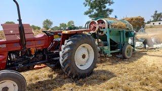 Cutting and harvesting with wheat thresher. AM Tractors. Universal Agro industries.