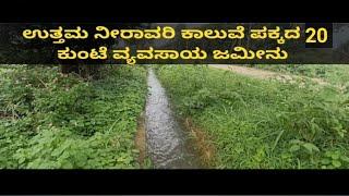 20 Kunta Farm land for sale at Maddur