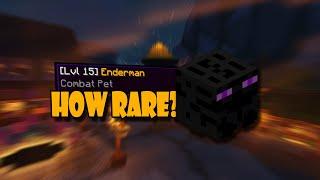 HOW RARE IS THE LEGENDARY ENDERMAN PET? (hypixel skyblock)