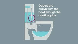 Milu Odourless Toilet