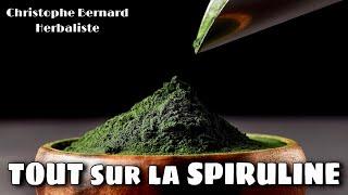 Tout sur la spiruline : nutrition, immunité, allergies