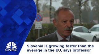 Slovenia is growing faster than the average in the EU, says professor