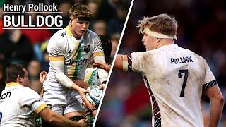 Henry Pollock - Bulldog | Northampton Saints/England Rugby Tribute