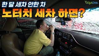 한달 세차 안하고 노터치세차 하면 진짜 깨끗해 질까?