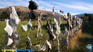 The Cardrona Bra Fence, New Zealand