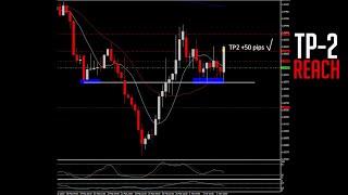 Easy Forex Pips  Trade FOREX FREE signal EURNZD buy Hit TP2 +50pips 02 March