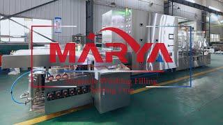 Marya Aseptic Auto Ampoule Filling Sealing Line Liquid Filling Machine Manufacturers Supplier China