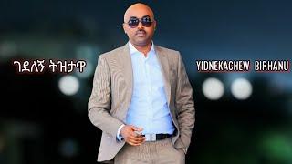 Yidnekachew Birhanu New Amharic Cover Song Gedelegne Tizetawa 2024