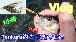 【夯魚癡】青潭溪Tenkara釣法用雙鉤毛鉤-溪釣(台湾の釣り 、 Fishing in Taiwan)