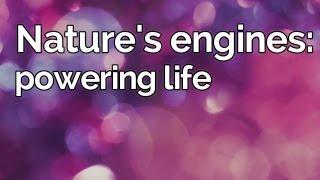 Oxford University Physics Society: Prof Julia Yeomans "Nature's engines: powering life"