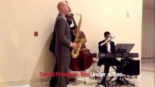David Freeman Trio - Under a Tree