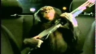 Trunk Monkey Date Night Chaperone Edition Commercial Very Funny TV Ads from Suburban Auto