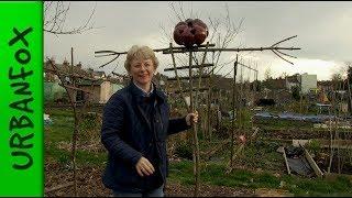 How to make a scarecrow from sticks