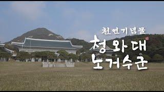  한국의 아름다운 자연유산 - 청와대 노거수 군 