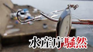 保安庁監視の堤防で工夫仕掛けを海に落とすと、けたたましく大きな魚が食ってきた