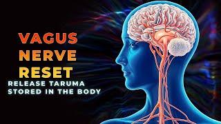 Vagus Nerve Reset Binaural Beats: Release Trauma Stored In The Body, Get Rid Of Stress & Anxiety