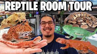 Reptile Room Tour! Pet Room