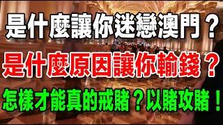 是什麼讓你如此迷戀澳門？是什麼原因讓你輸錢？怎樣才能真正的戒賭？不賭並不是真的戒賭！